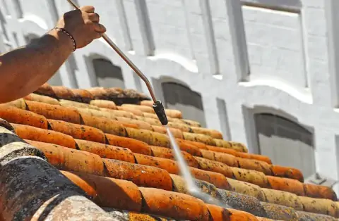 Nettoyage de toitures - Montesson